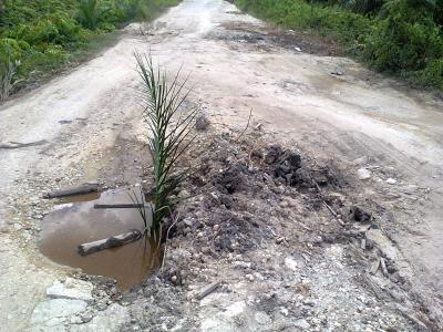 Jalan Lintas Desa Sadar Jaya Rusak Parah, Warga Kecewa